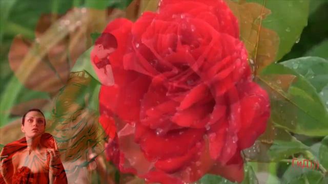 Крис Де Бург ! Женщина в красном!Монтаж- ЛЮДМИЛА))) смотреть онлайн