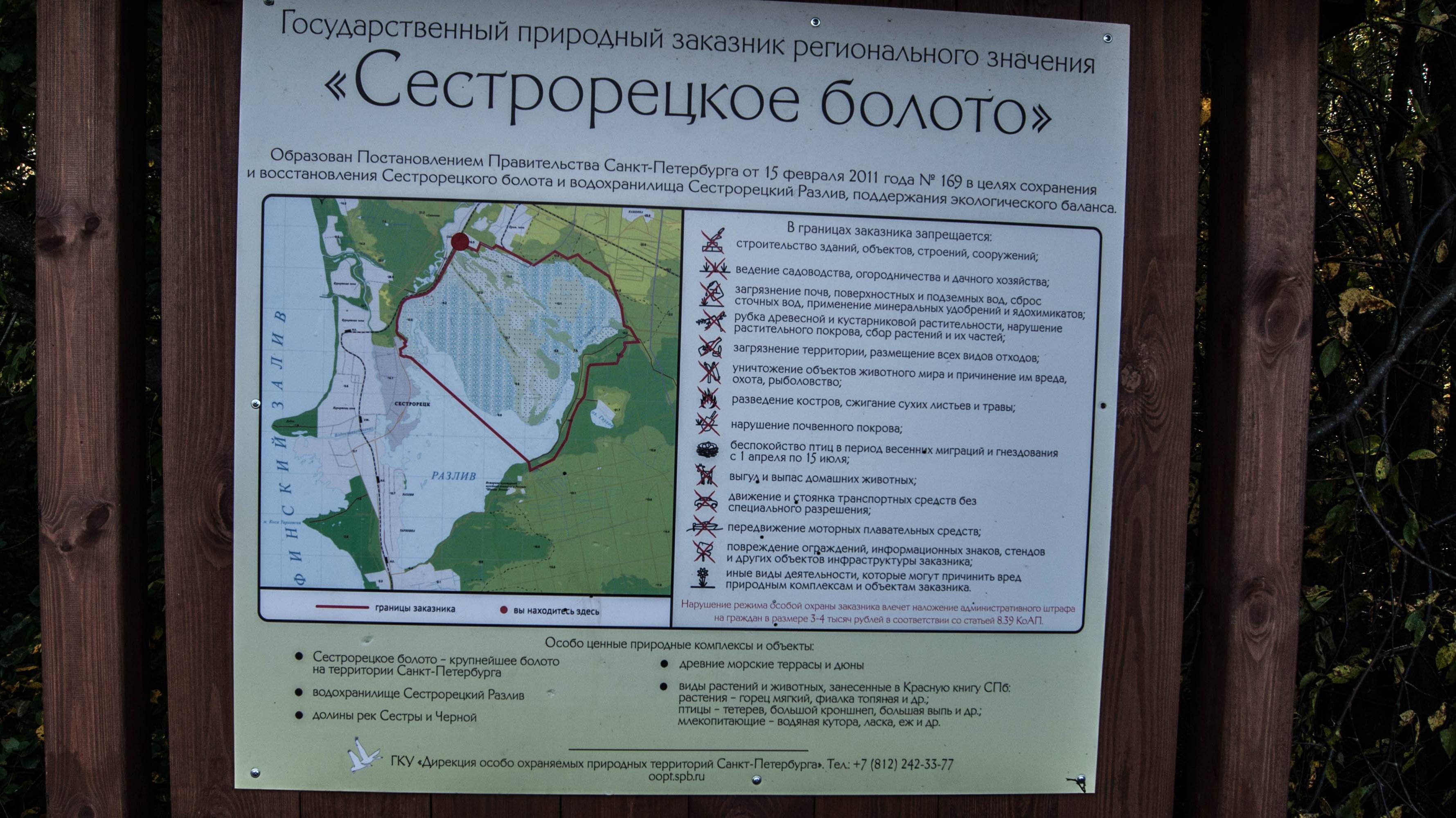 Сестрорецкое болото смотреть онлайн
