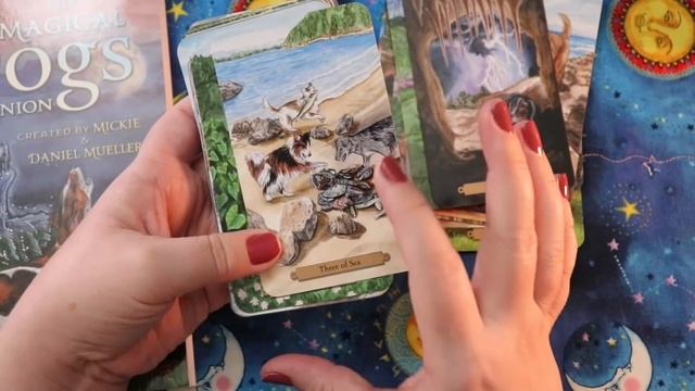 AFFORDABLE TAROT DECKS?! | Mass Market Madness #5 | Awesome TAROT & ORACLE worth looking at! смотреть онлайн