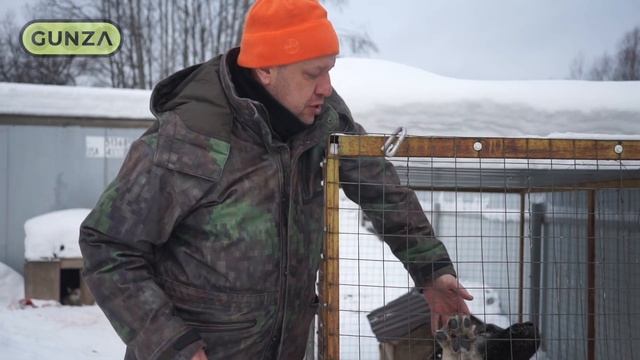 ОХОТА НА КАБАНА | ТЯЖЕЛЫЙ ДОБОР | СООБЩЕСТВО GUNZA смотреть онлайн