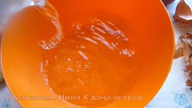 Сажаем лук на зелень в июле. ПОСАДКА ЛУКА РЕПКИ НА ПЕРО ЛЕТОМ. Когда сажать лук на зелень в июле смотреть онлайн