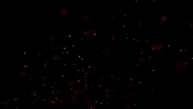 Терновый куст/Борис Мышлявцев/2021 смотреть онлайн