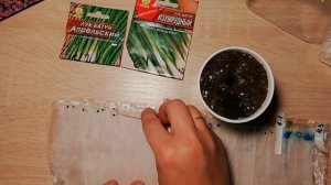 Лук- батун пересадка/зелень на подоконнике