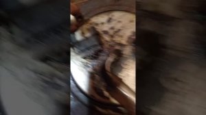 Как выкрутить болты на бензобаке Газель бизнес железный.