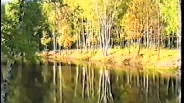 Директор (Director)