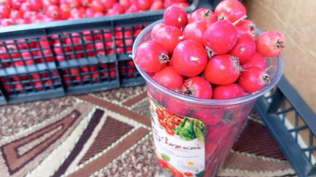 Что почём на рынке Тихорецка