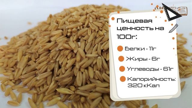 Овес голозерный. Обзор
