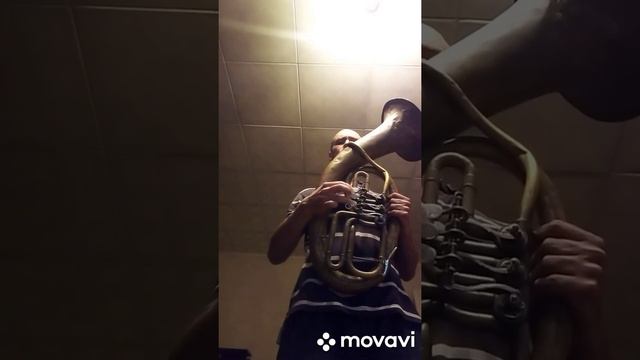 The song from USSR cartoon Blue train carriage by euphonium / baritone horn смотреть онлайн