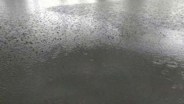 Рыбалка 31 мая смотреть онлайн