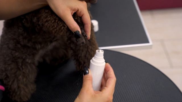 Как подстричь собаке когти без крови. Что такое Гриндер и как им пользоваться?