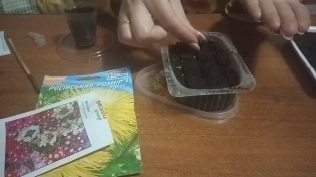 посадка семян Астры,вербены,бегонии гоу-гоу🌱🌺 смотреть онлайн