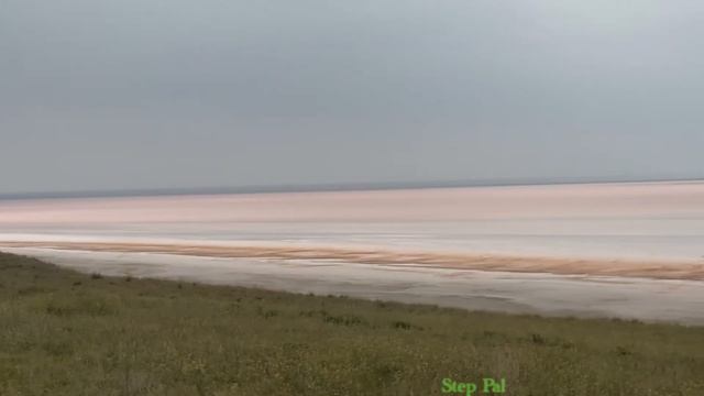 Розовое озеро (Кояшское)! смотреть онлайн