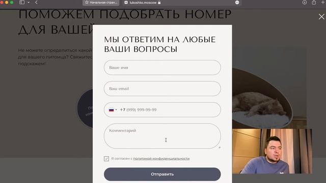 Аудит сайта гостиницы для кошек, маркетинговые советы по Тильде и повышению конверсии сайта смотреть онлайн