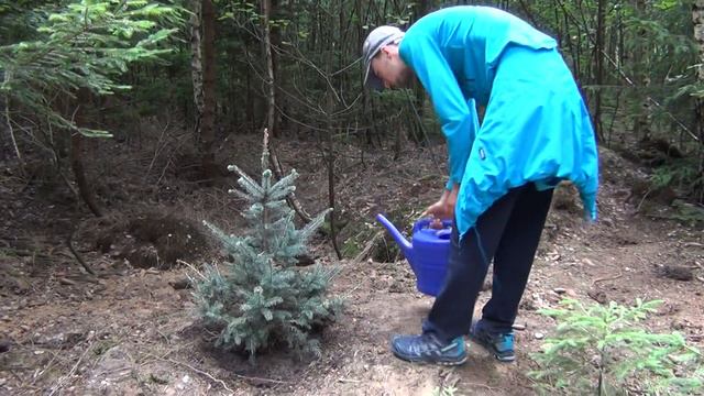 ПРИКЛЮЧЕНИЯ НОВОГОДНЕЙ ЁЛКИ №17 смотреть онлайн