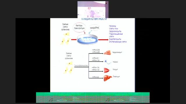 Прямая трансляция IV Национального конгресса по регенеративной медицине - 9 смотреть онлайн