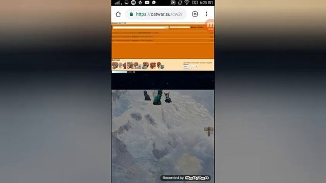 Проходим новогодний квест | Catwar