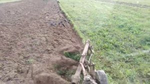 Вспашка на МТЗ, плуг плн с предплужниками. Птички