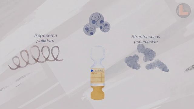 Краткая история пенициллина