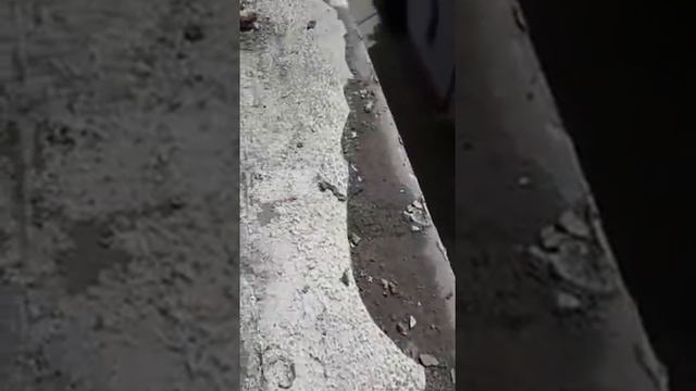 Установка и изготовление отливов на окна в Батуми. В процессе работы. смотреть онлайн