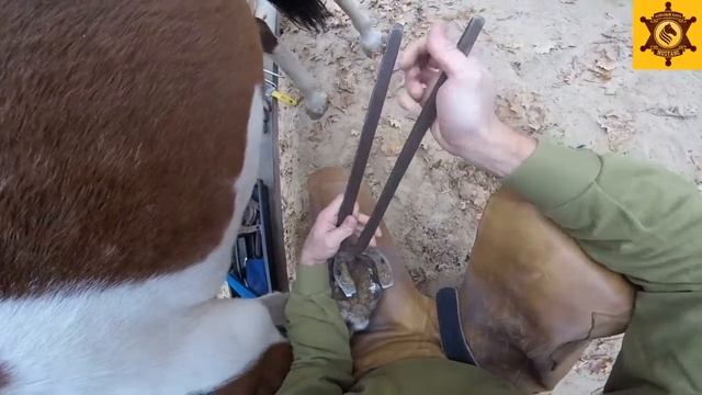 Работа ковалей Конный клуб Мустанг смотреть онлайн