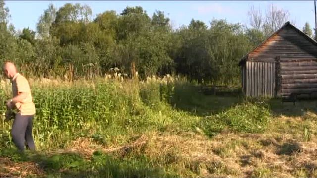 Сенокос Карелия 2014г