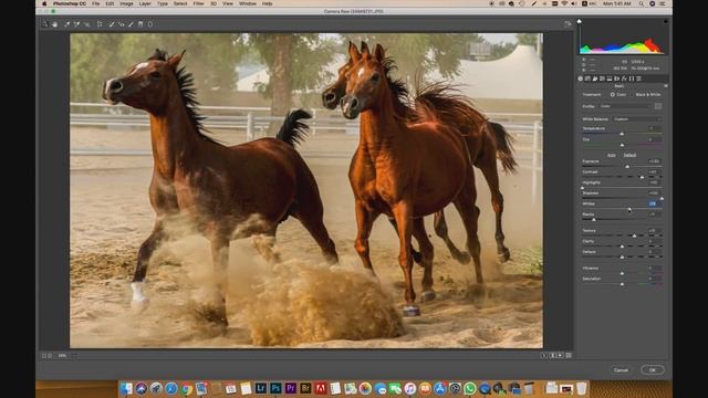 How to edit in Photoshop CC 2019 смотреть онлайн