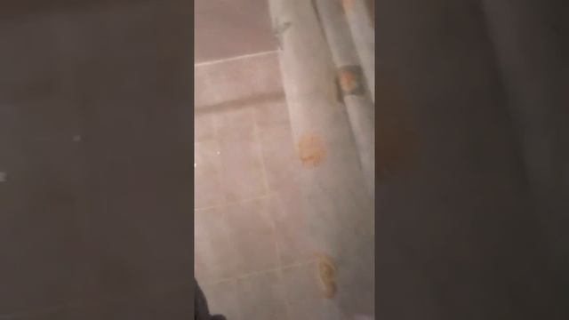 Промывание лакун миндалин дома с помощью канюли смотреть онлайн