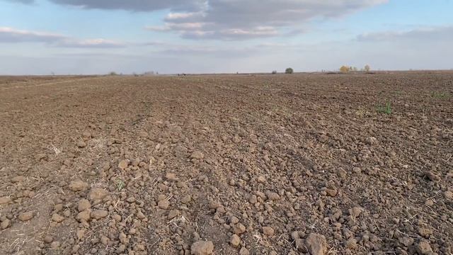 Посевная 2021, сеем в сухую землю смотреть онлайн