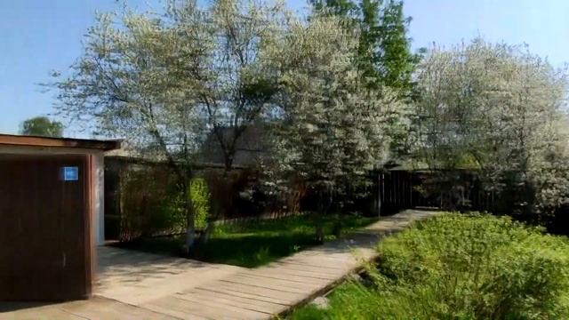 Последнее прибежище поэта. М.Цветаева. Елабуга. смотреть онлайн