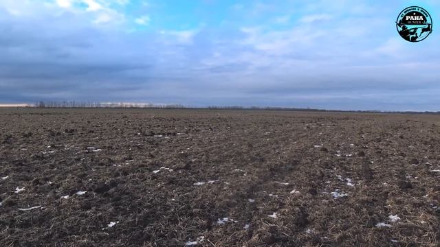 Охота на зайца. ВОЗВРАЩЕНИЕ ИЖ 27. Охота по чернотропу. Сезон 2021-2022. Восьмой выход. смотреть онлайн