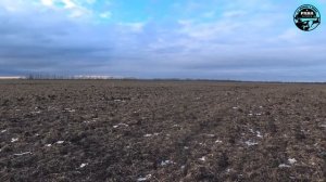 Охота на зайца. ВОЗВРАЩЕНИЕ ИЖ 27. Охота по чернотропу. Сезон 2021-2022. Восьмой выход.