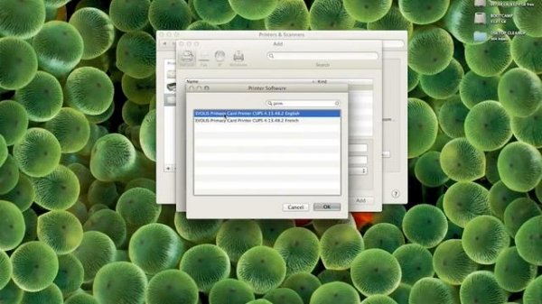 How to install Evolis Primacy driver on Mac