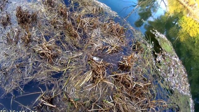 Воблер TSURIBITO Hard Minnow. Тсурибито смотреть онлайн