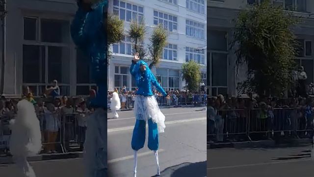 Фестиваль цветов. Самара. 24.08.19 смотреть онлайн