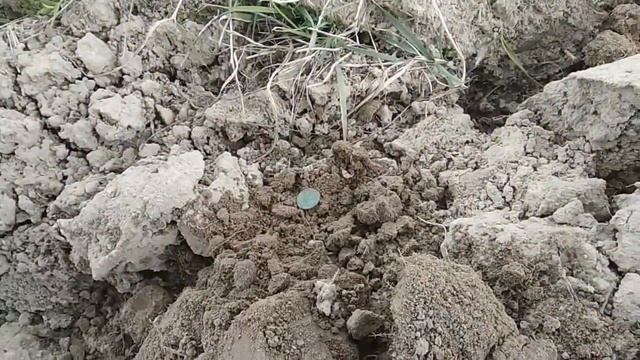 Поиск кладов и монет. Перепаханное поле с монетами. (продолжение). смотреть онлайн