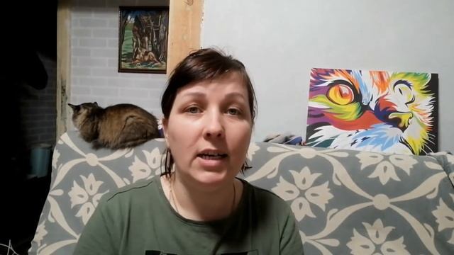 Выращивание петунии. Первые всходы на третий день. Почему я не высеваю петунию на снег. Часть 2. смотреть онлайн