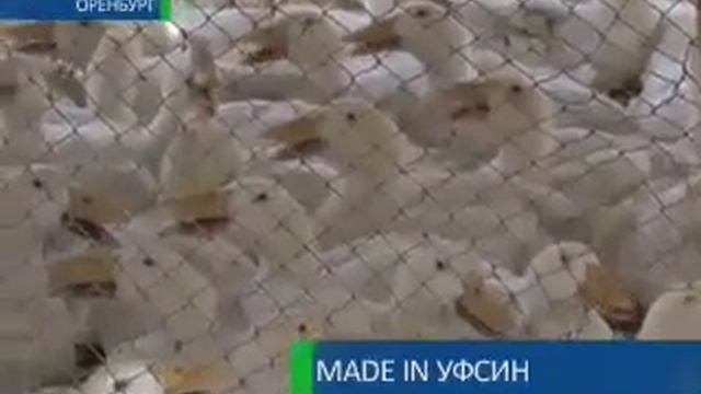 Сделано в тюрьме смотреть онлайн