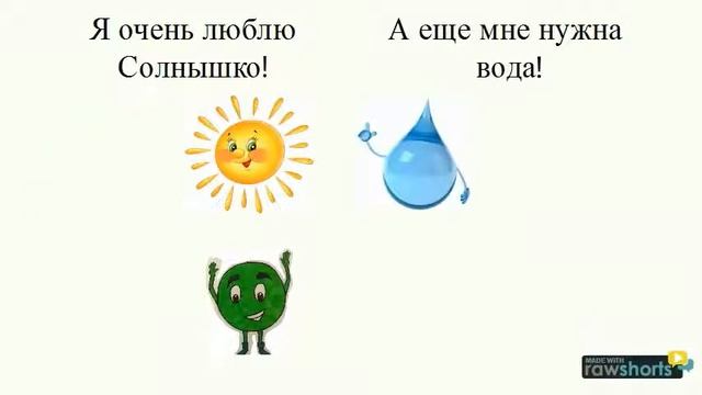 Фотосинтез. 6 класс смотреть онлайн