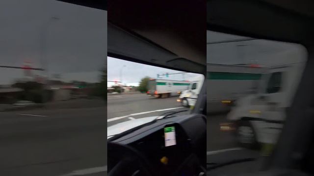 Американские бомжи совсем не тупые🤯🤥 смотреть онлайн