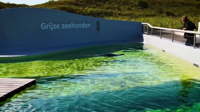 Остров Тессел в Нидерландах - любимое места отдыха Голландцев. Роскошные пляжи, разнообразие природ смотреть онлайн