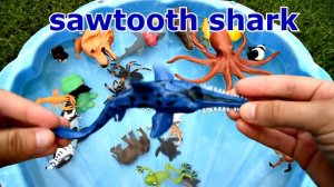 NEW Shark Octopus Whale Dog Duck Toy Figures Unboxing!