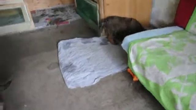 DSC 0164 смотреть онлайн