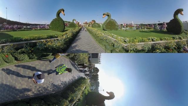 Dubai Miracle Garden 4k | Dubai in 360° смотреть онлайн