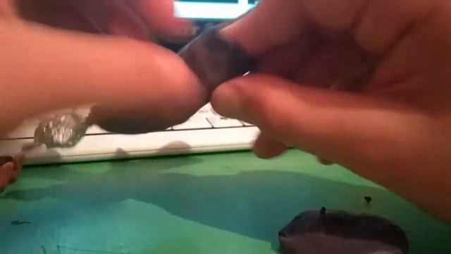 слепил леди из little nightmares смотреть онлайн