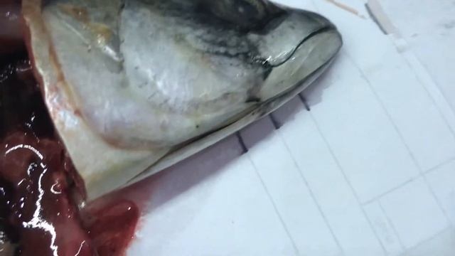 Рыба с червями