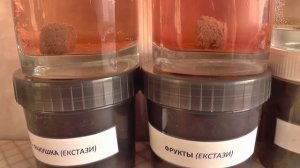 ТЕОРИЯ ЛОВЛИ КАРПА: «ПЕЛЛЕТС - НАСАДКА» «»ПОВЕДЕНИЕ» В ВОДЕ» (Часть 4)