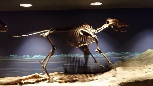 La Brea Tar Pits, Los Angeles смотреть онлайн