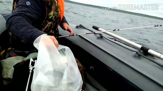 Сахалин.Морская прогулка за камбалой. смотреть онлайн