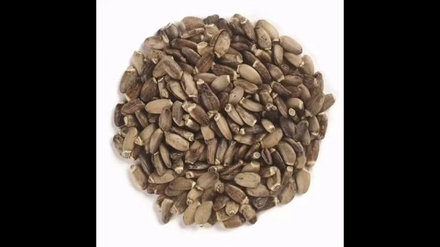 Семена расторопши очищают больную жирную печень смотреть онлайн