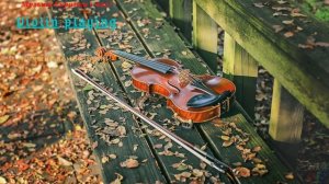 Игра на скрипке!Playing the violin.Лучший звук скрипки!
